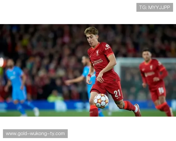 利物浦伤病问题持续显现，对赛季走势形成制约，稳定性面临考验