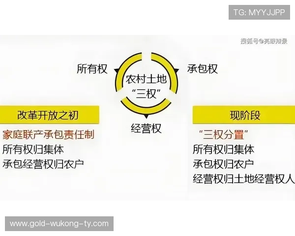 内斯塔与萨穆埃尔在防守覆盖率偏移与体系分配上出现分化趋势