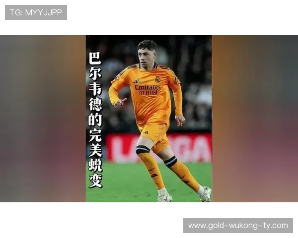 从中场蓝领到关键先生：巴尔韦德的角色蜕变