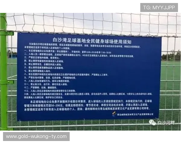 未经许可入场如何判罚？足球规则中此类违规的关键细节揭秘