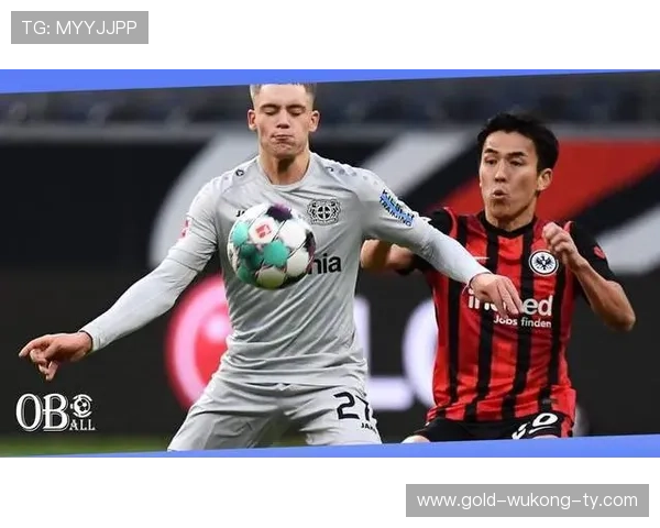 维尔茨上限是否被夸大？潜力与实际表现差距解析