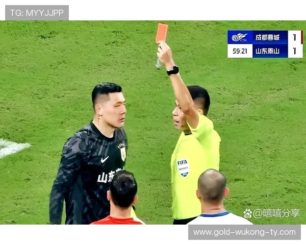 VAR规则：进球、点球、直接红牌与身份错认可复核