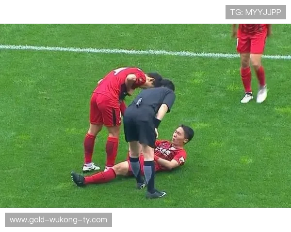 提问科普型：足球比赛中裁判沟通规则有哪些细节和限制？