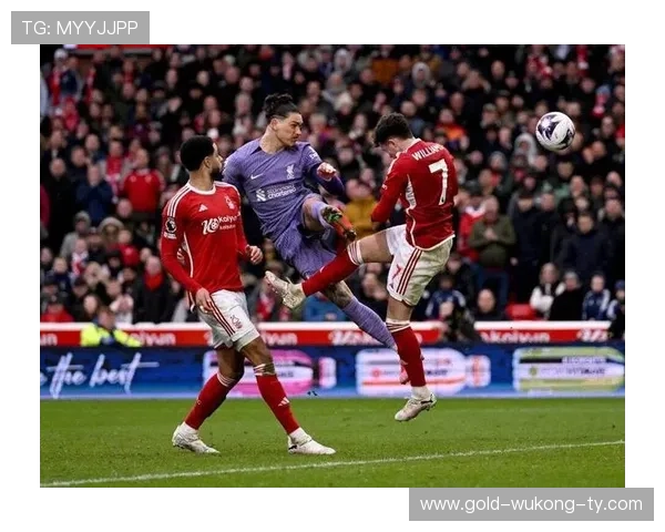 本菲卡爆发赛季：努涅斯如何打出30+进球身价