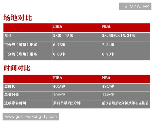 恶意犯规判定标准解析：NBA与FIBA规则对比